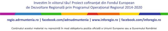 Finalizarea proiectului "DEZVOLTAREA CAPACITATII DE PRESTARE LUCRARI A STIROM STEEL SRL"